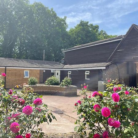 The Rose Cottage Wisborough Green Exterior foto